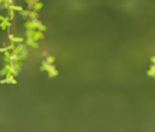 �Ĵ������������޹�˾